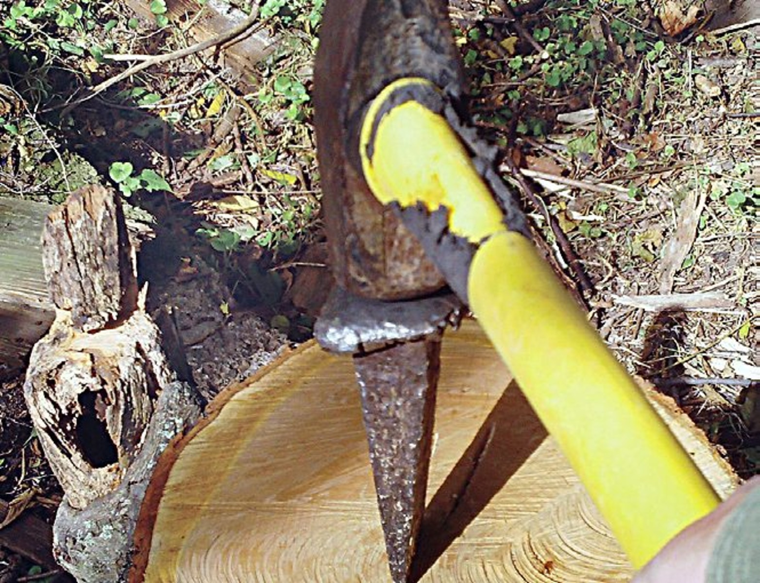 Rigged Sheep Hand Shears: Two-Pack for Two Jobs